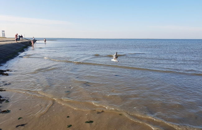 Ferienwohnung in Nesse - Foto 35