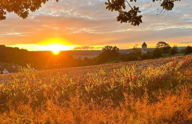 Ferienwohnung Ambiente 2 - Foto 24