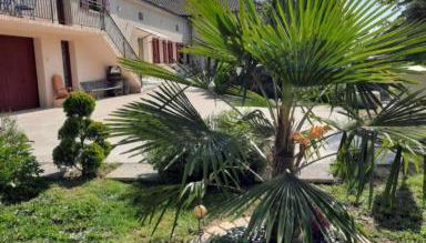 CHARMANT LOGEMENT ENTIER A LA CAMPAGNE - Foto 3, Garden