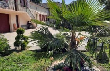 CHARMANT LOGEMENT ENTIER A LA CAMPAGNE - Foto 3