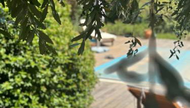 BERGERIE rénovée avec piscine chauffée et terrain clôturé - Foto 2, Garden