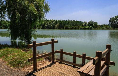 Maison Dream in Marciac - Photo 72