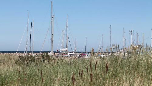 Familien Ferienhof Lucky bei Kühlungsborn OFC 08 - Foto 2