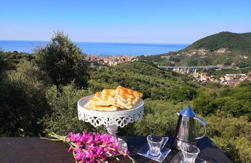 La Vivagna - Casa vista mare tra gli ulivi - Foto 21