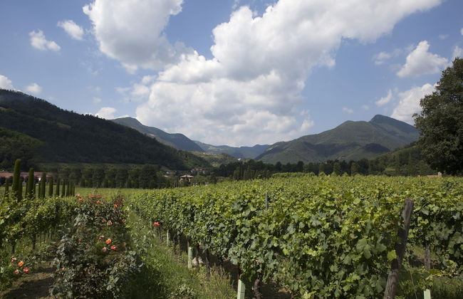 Podere Castel Merlo Resort - Foto 20