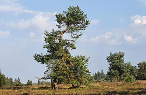 Ferienhaus Junge Ruhr - Foto 23