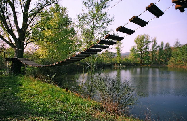 Bio Agriturismo La Cerqua - Foto 73