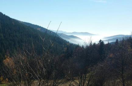 Hope Mountain Escape Poland, Charming Barrel House - Foto 17