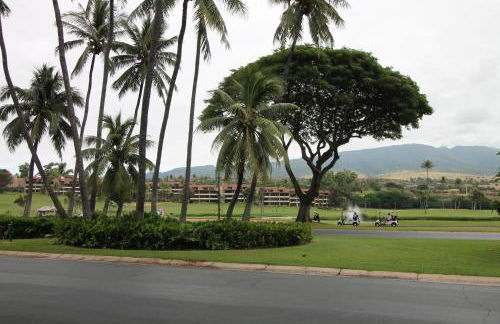 Kaanapali Beach Vacation Rental - Foto 53