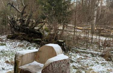 Ferienhaus am Bächle - Foto 33