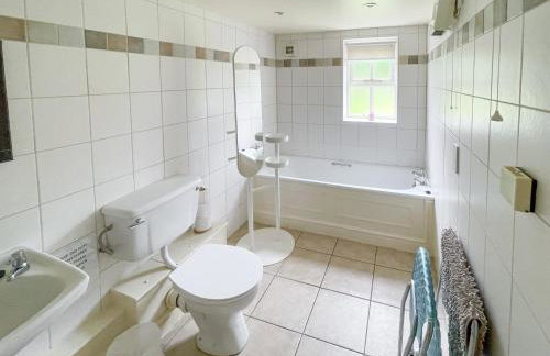 Lily Pad 2 - Uk43901 - Foto 13