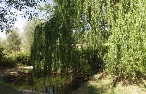 Antico Casale Pozzuolo - Foto 11