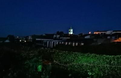 O Ze Ja Dormiu Aqui - Foto 8