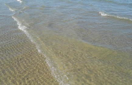 Residence Adriatico - Foto 65