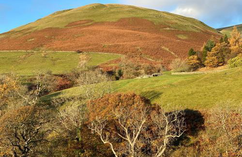 Cross Haw Cottage - Foto 25