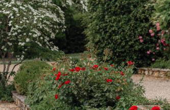 Le Domaine des Ormeaux - Foto 70