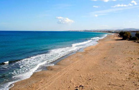 Rustic Retreat - Private Pool in Nature's Embrace - Photo 3