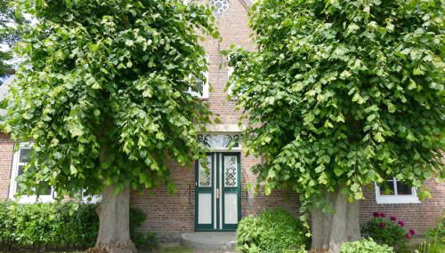 EBB und FLÖR - Foto 4