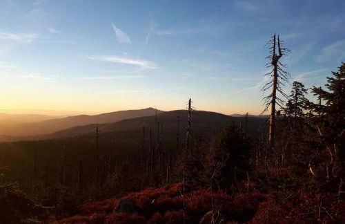 Ferienwohnung Sigi's Waldhaus - Foto 17