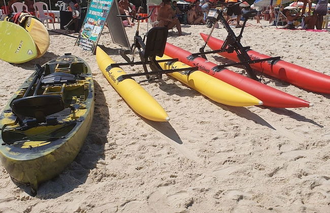 Andorinhas - Foto 72