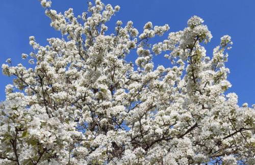 Ferienwohnung History in Herbolzheim nahe Zentrum - Foto 33