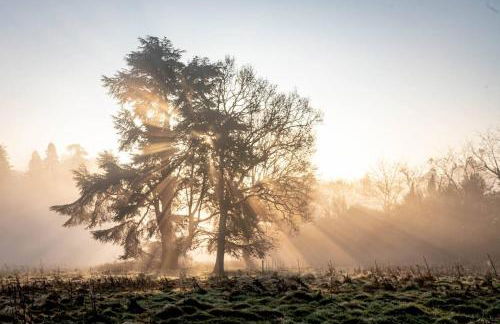 Cedar Cabin Overlooking Bedgebury Forest - Foto 25