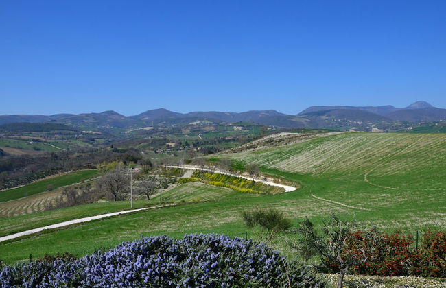 Agriturismo Villa Rosetta - Photo 57