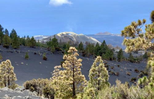 Casita La Rosa - Foto 65