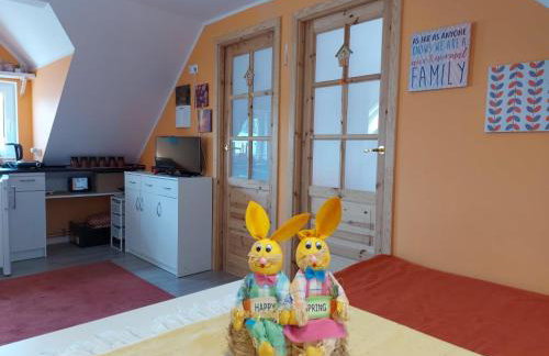 Cztery Pory Warmii Pluski pokoje do wynajęcia - Foto 13