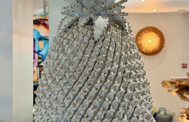 Appart'Hôtel La Girafe - Foto 4