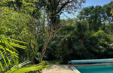 Les palmiers de Valence - Foto 6