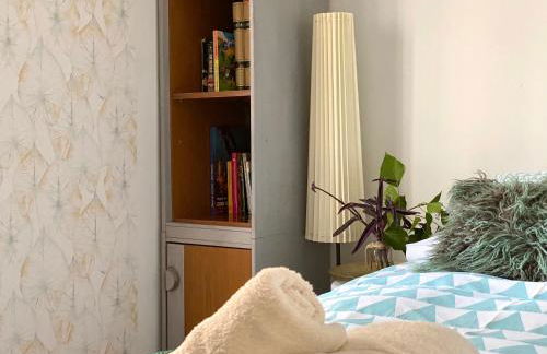 Apartamento La Muralla parking gratis - Foto 17