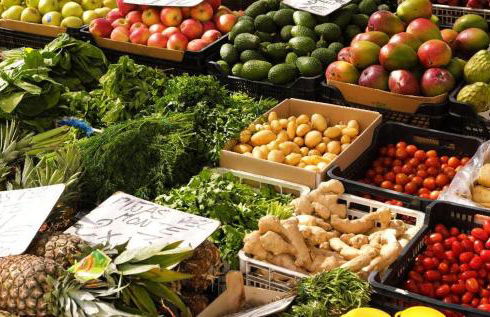 cozy House with Secret Garden & Spa private - Foto 28