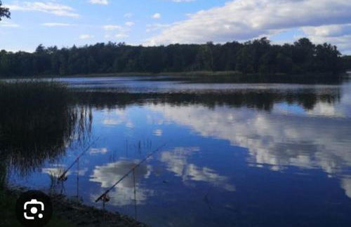 Haus beim Schloß - Foto 16