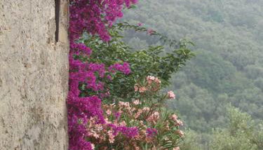 Ferienhaus in Vasia Imperia für bis zu 4 Personen - Foto 3