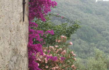 Ferienhaus in Vasia Imperia für bis zu 4 Personen - Foto 3