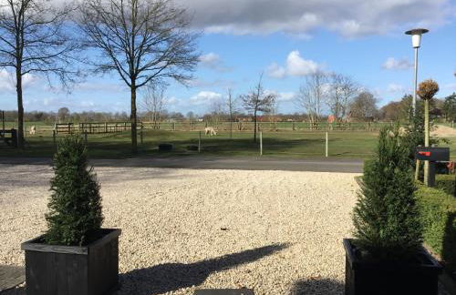 Ferienwohnung Lands Huys - Photo 4