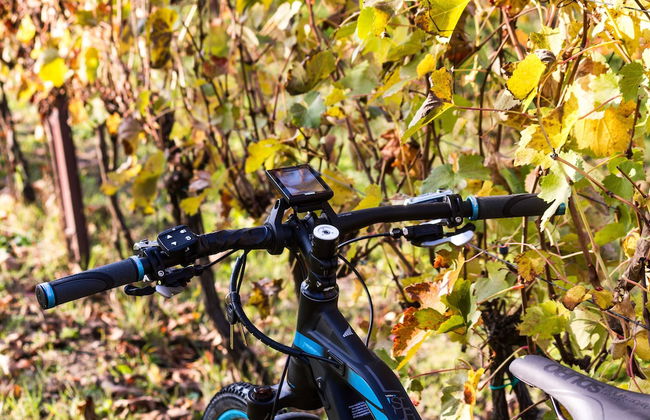 Agriturismo Ca San Sebastiano Wine Resort & Spa - Foto 26