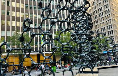 Iron Bound Gem - Foto 34