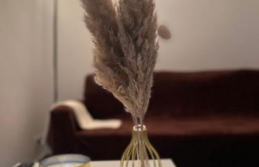 Teps home Airport Venice - Photo 14