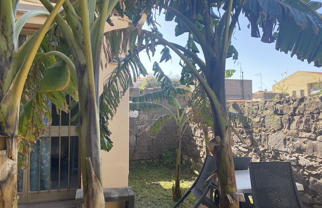 Concas Apartament - Foto 80