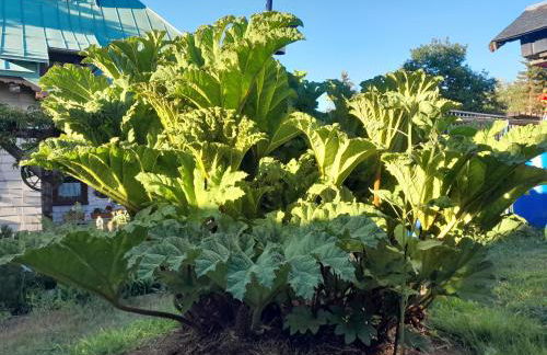 Ferienwohnung Kupfer - Foto 19