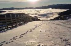 Apartahotel portal de leon - Photo 14