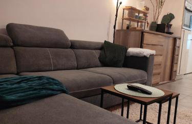 Ortopla Terrace Apartment Stinica - Photo 22