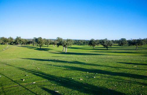 Cortijo Charcollana - Foto 37