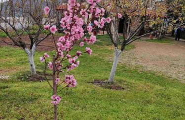 Gerania Villa - Foto 29