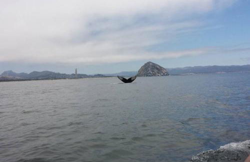 Harbor House in Morro Bay - Foto 24