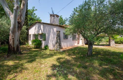 Fonte Verte - Foto 21