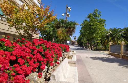 Alojamiento Los Alamos - Foto 19