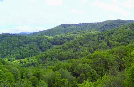 Timber Ridge Retreat - Foto 20